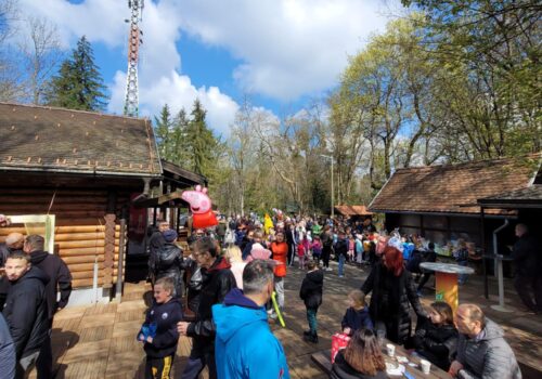 POTRAGA ZA PISANICAMA