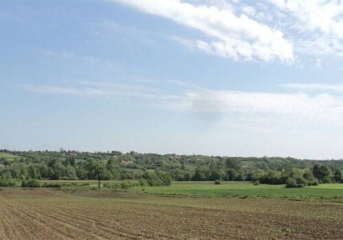 Savjetovanje sa zainteresiranom javnošću o prijedlogu  Odluke o agrotehničkim mjerama i mjerama za uređivanje i održavanje poljoprivrednih rudina na području grada Hrvatske Kostajnice